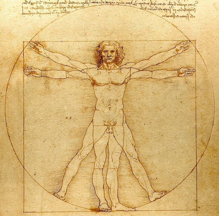 Vitruvian Man